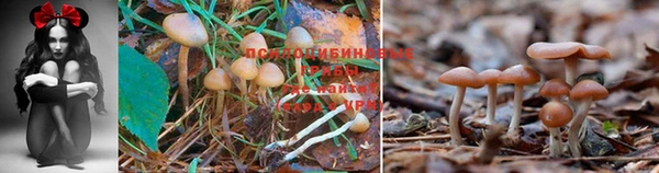 молекула духа Саяногорск