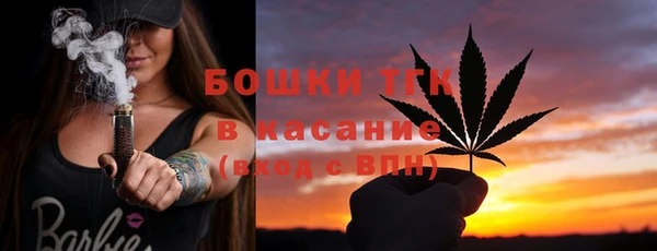 молекула духа Саяногорск