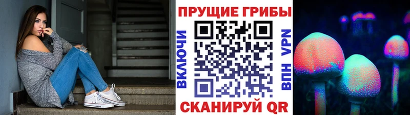 Псилоцибиновые грибы Psilocybine cubensis  Купить где  Тихвин 
